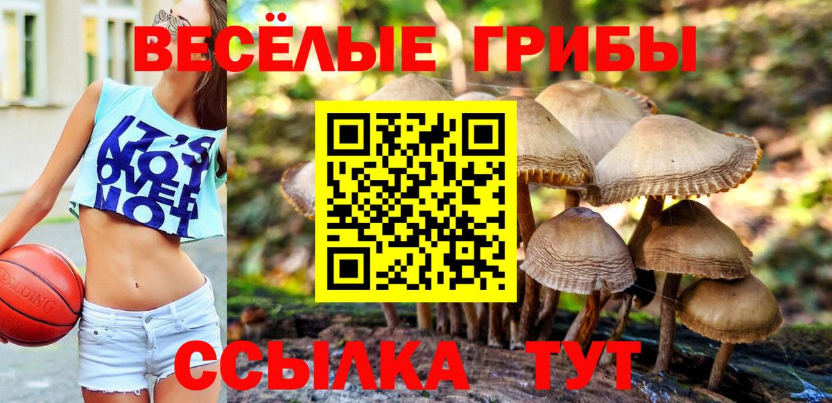 Галлюциногенные грибы Psilocybe  цены наркотик  Тара 