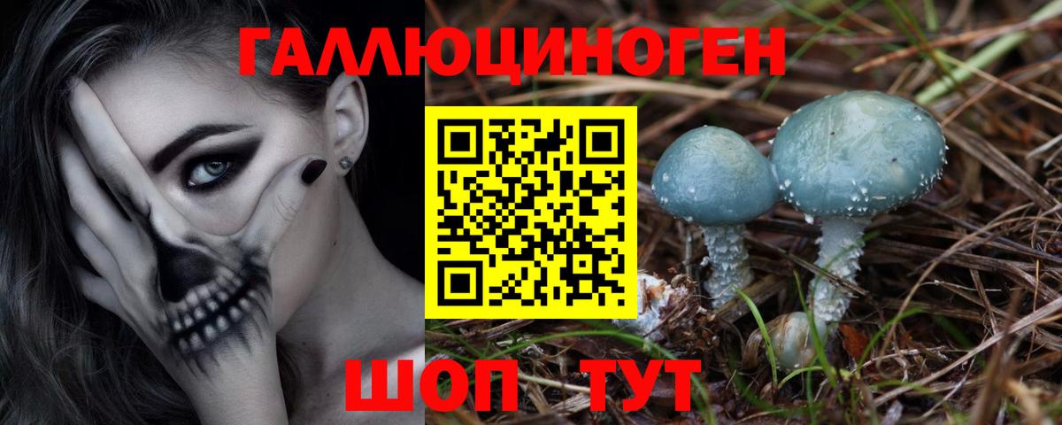 Псилоцибиновые грибы MAGIC MUSHROOMS  Вход с VPN  где купить   Тара  Псилоцибиновые грибы мухоморы 