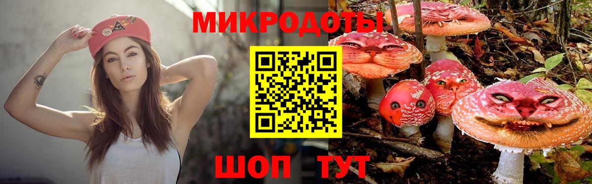 Псилоцибиновые грибы MAGIC MUSHROOMS Тара