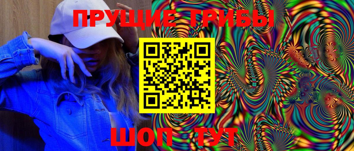 Псилоцибиновые грибы Psilocybe Тара